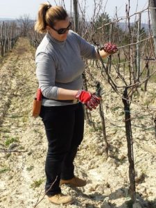 Natascia Riggi durante una sessione di potatura in campo
